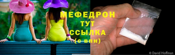 индика Верхний Тагил