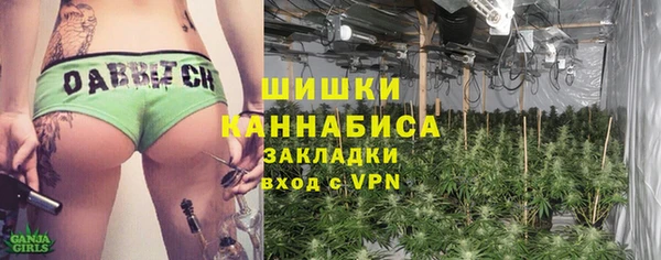 первитин Осинники