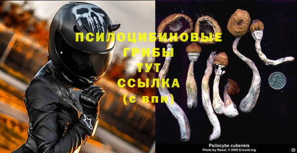 первитин Осинники