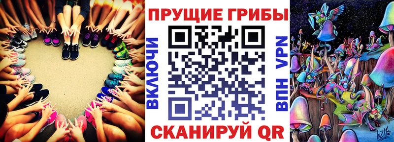 Галлюциногенные грибы GOLDEN TEACHER  купить наркоту  Миасс 