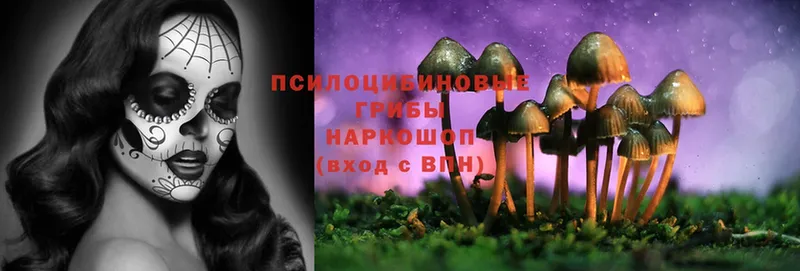 hydra ССЫЛКА  Миасс  Псилоцибиновые грибы Psilocybine cubensis 